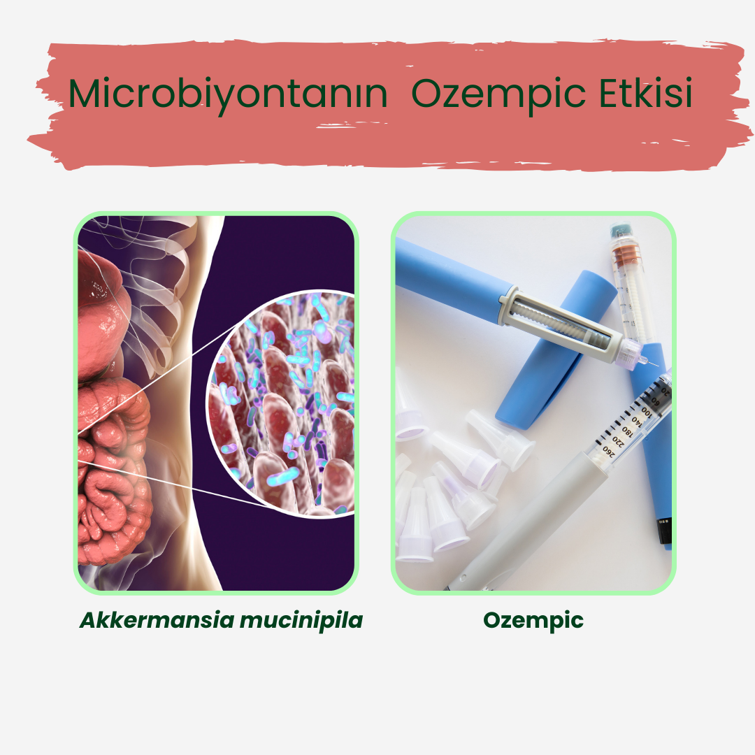 Ozempic Etkisi Beslenme İle Mümkün Mü ?